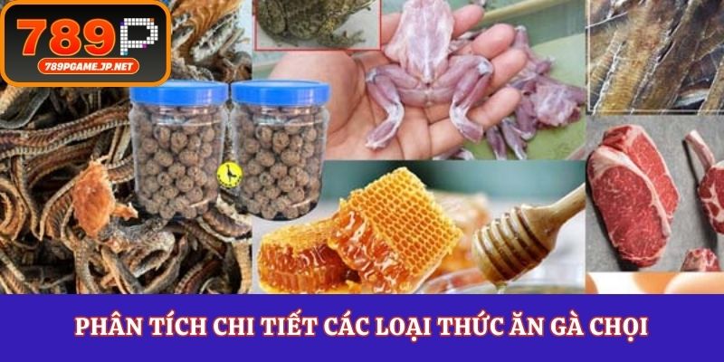 Phân tích chi tiết các loại thức ăn gà chọi